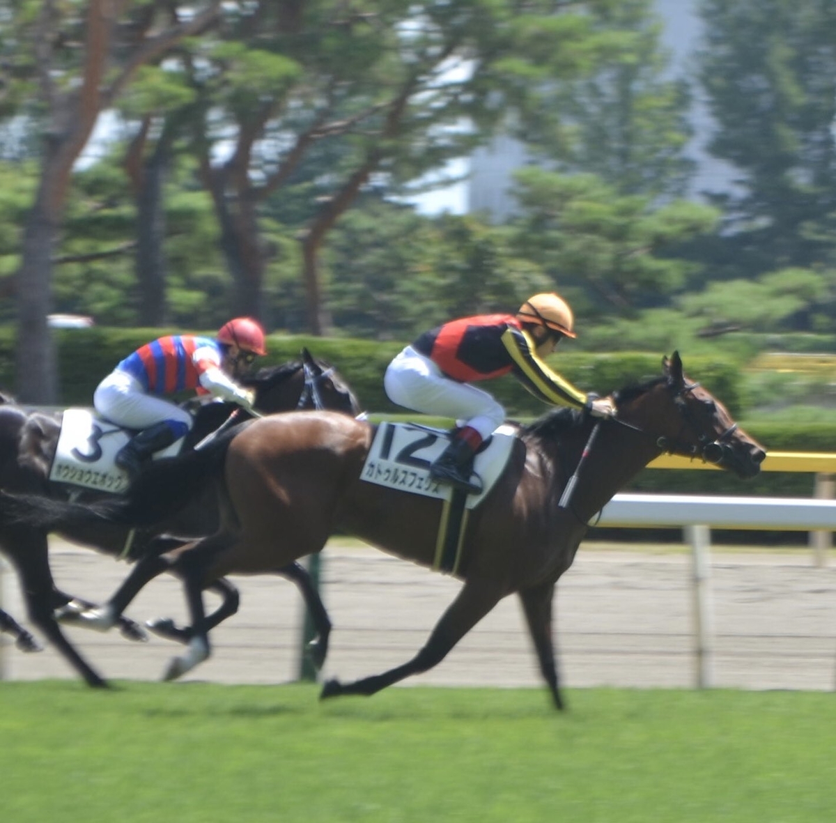 f:id:ClaudioSuarez:20190812233701j:plain