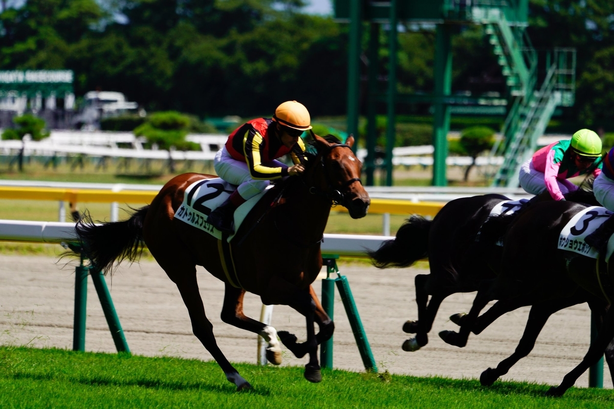 f:id:ClaudioSuarez:20190813032846j:plain