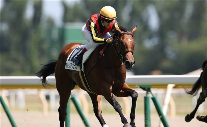 f:id:ClaudioSuarez:20190814011209j:plain