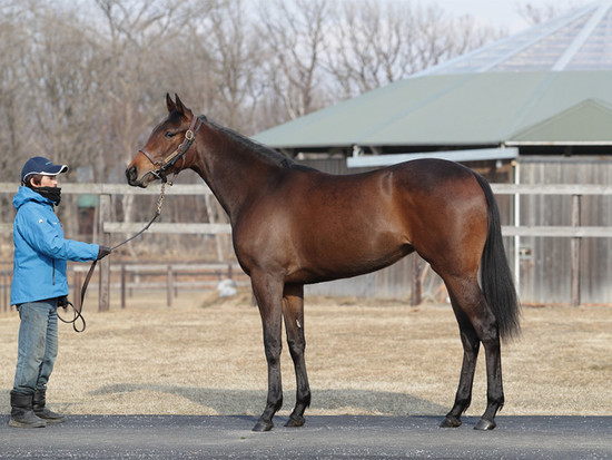 f:id:ClaudioSuarez:20190827013656j:plain f:id:ClaudioSuarez:20190827013656j:plain