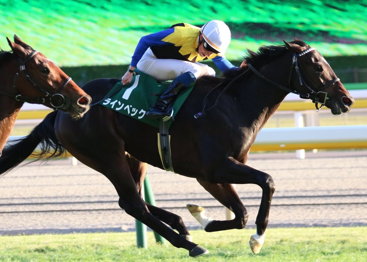 f:id:ClaudioSuarez:20191119074653j:plain