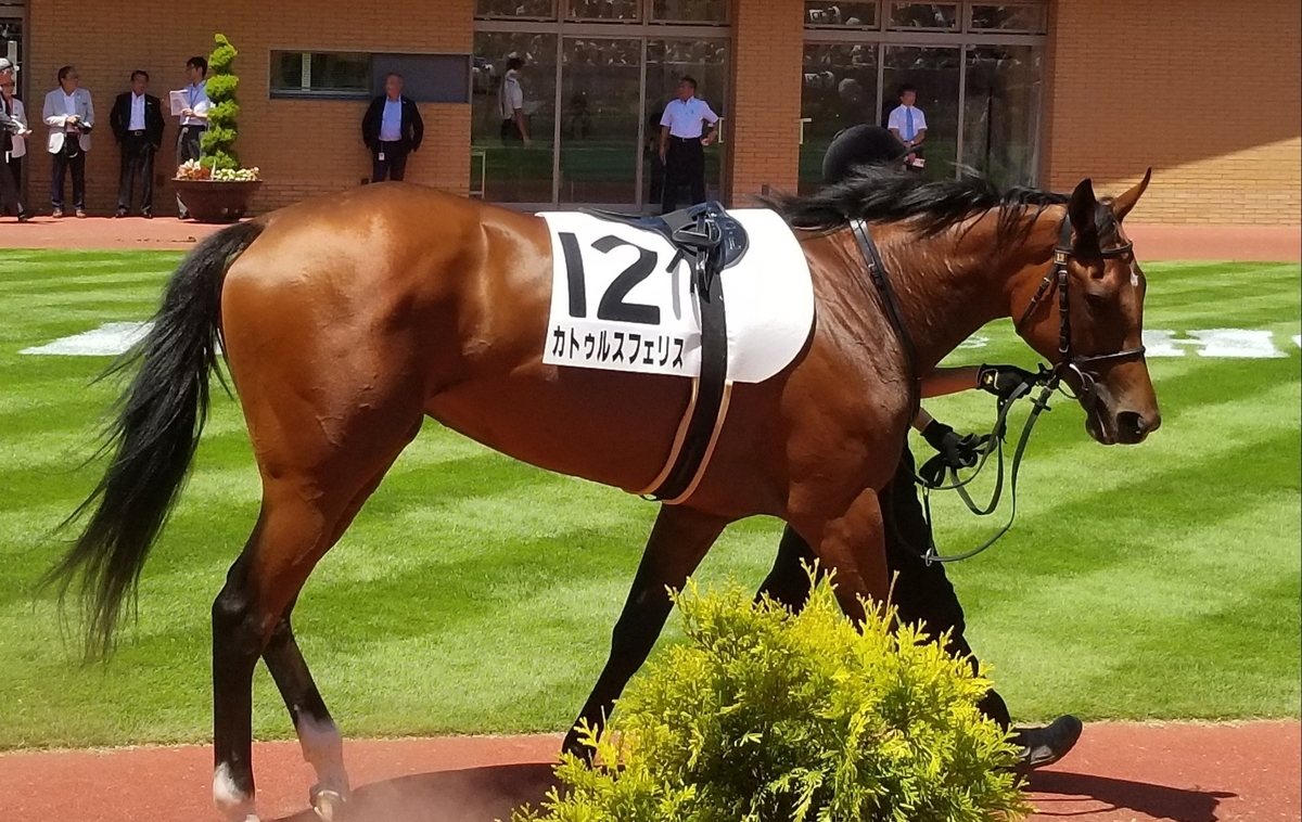 f:id:ClaudioSuarez:20191119081528j:plain