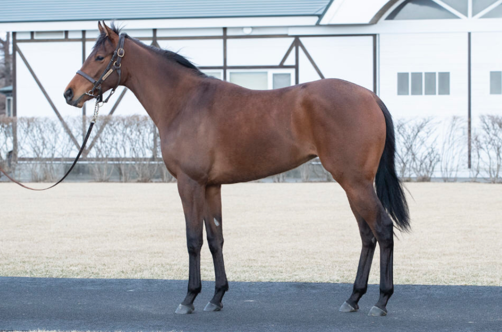 f:id:ClaudioSuarez:20210429114946p:plain