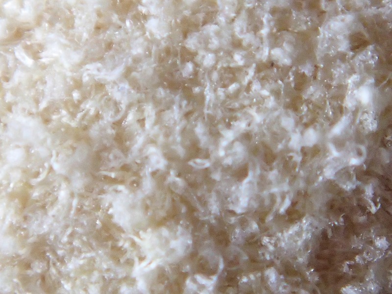 f:id:Cleaning-cross:20151121051709j:image:w640 f:id:Cleaning-cross:20151121051709j:image:w640