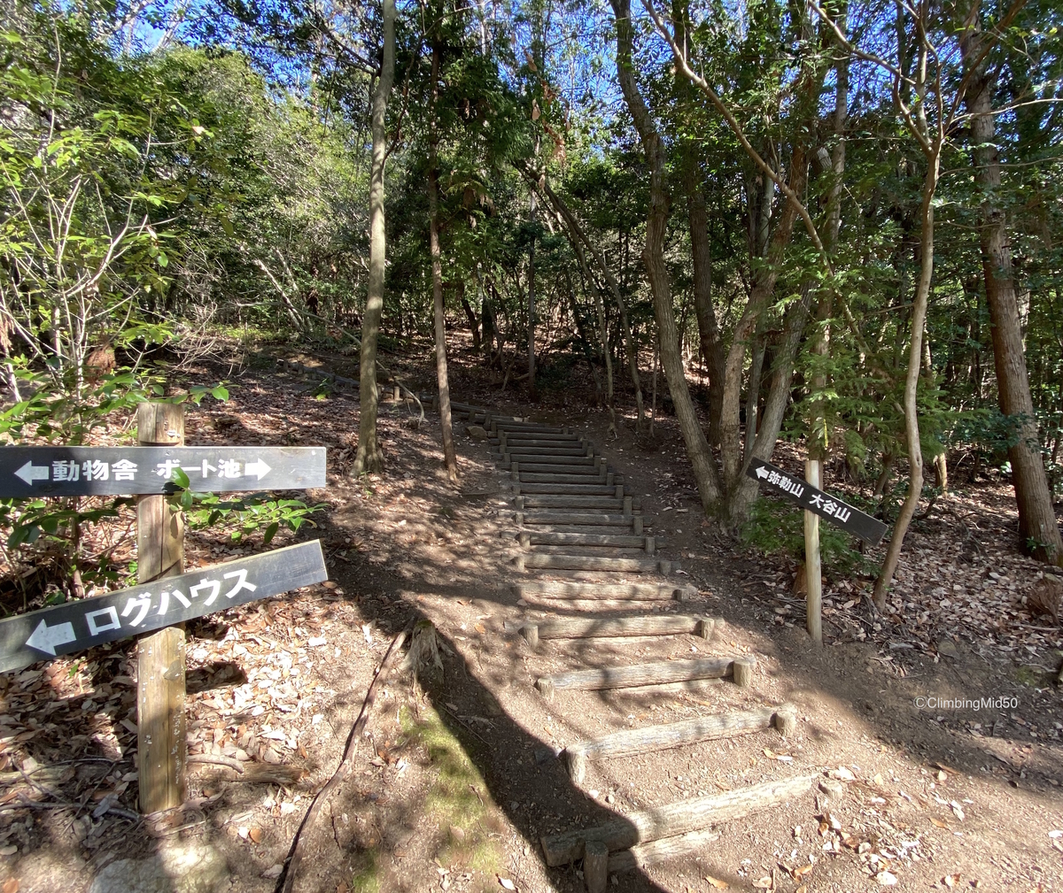 f:id:ClimbingMid50:20200207152230j:plain