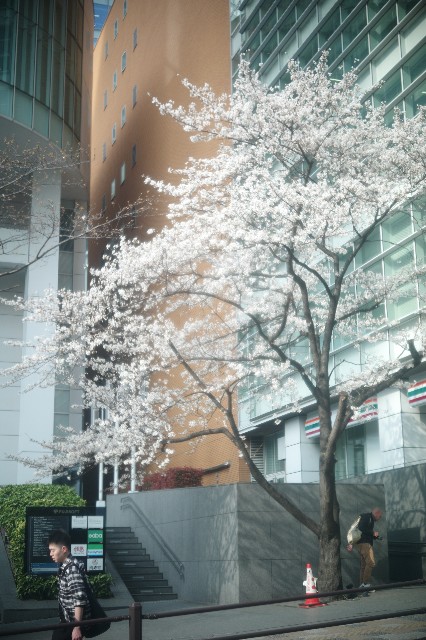 f:id:CloNis:20240406120439j:image
