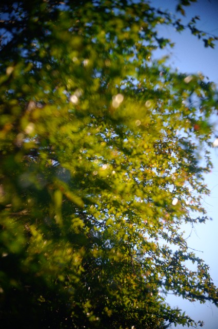 f:id:CloNis:20240406122212j:image
