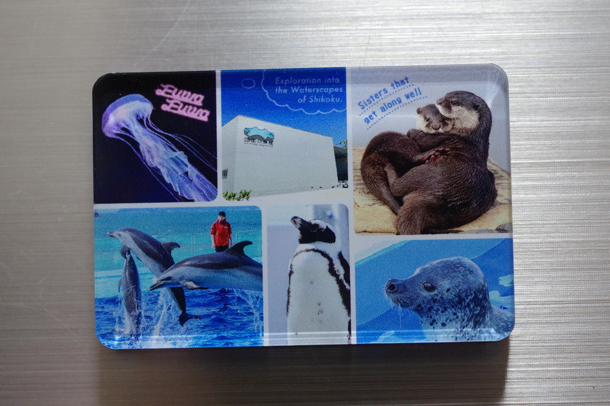 四国水族館 動物たちのアクリルマグネット 【香川県多度津町 