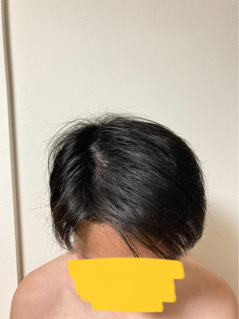 f:id:Coala0322:20210305223640j:plain