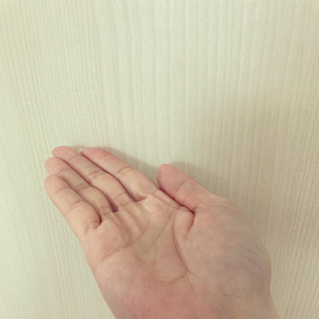 f:id:Coala0322:20210312110633j:plain