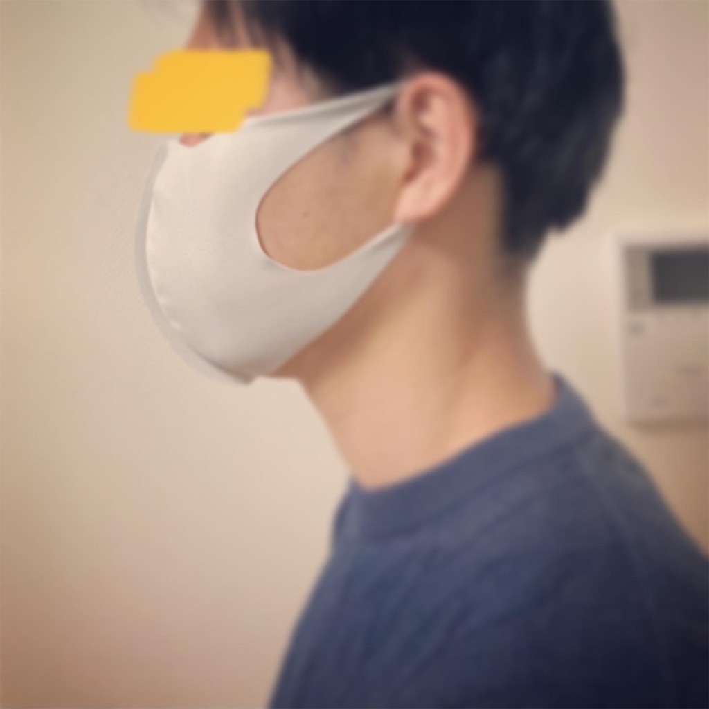 f:id:Coala0322:20210320203055j:plain
