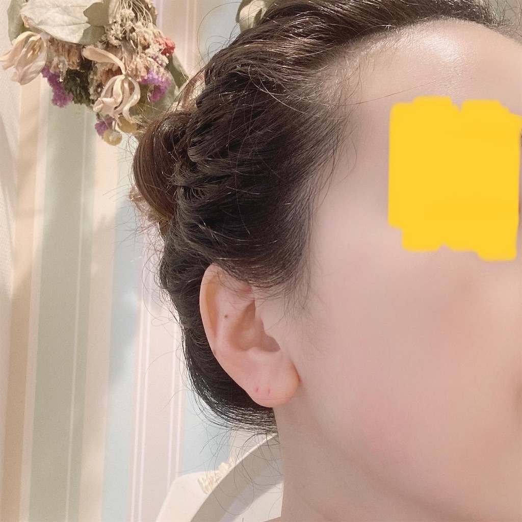 f:id:Coala0322:20210413220408j:plain