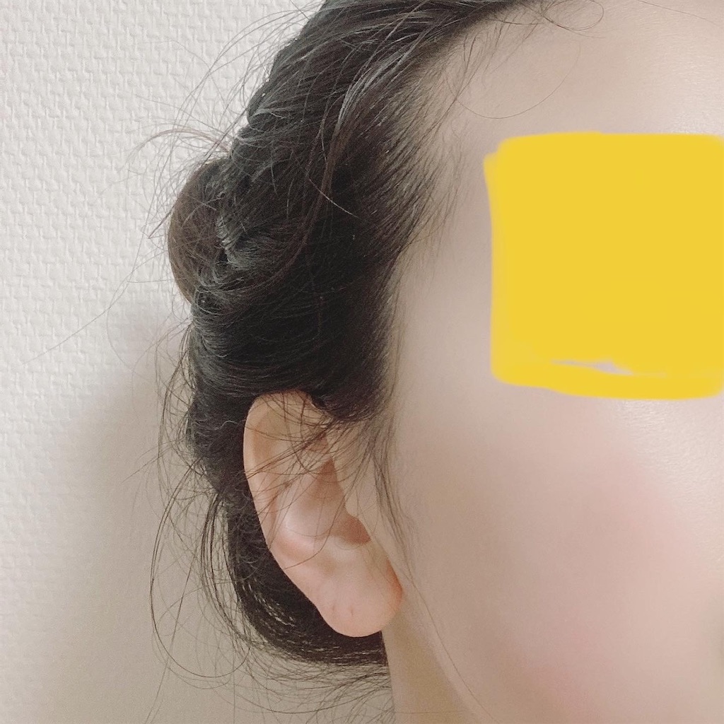 f:id:Coala0322:20210413220421j:plain