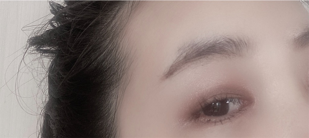 f:id:Coala0322:20210414142326j:plain