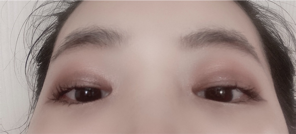 f:id:Coala0322:20210414142831j:plain