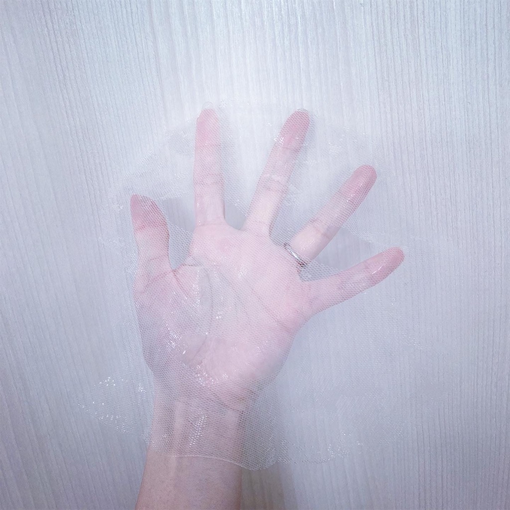 f:id:Coala0322:20210602223154j:image