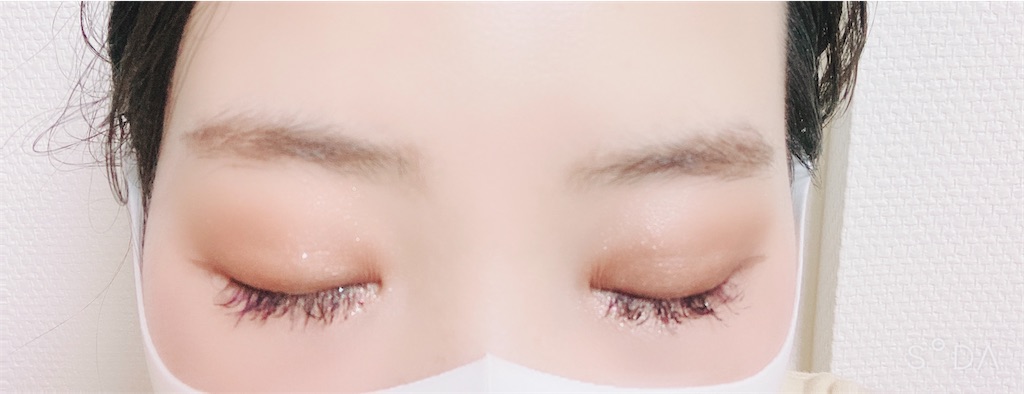 f:id:Coala0322:20210612132634j:image f:id:Coala0322:20210612132634j:image
