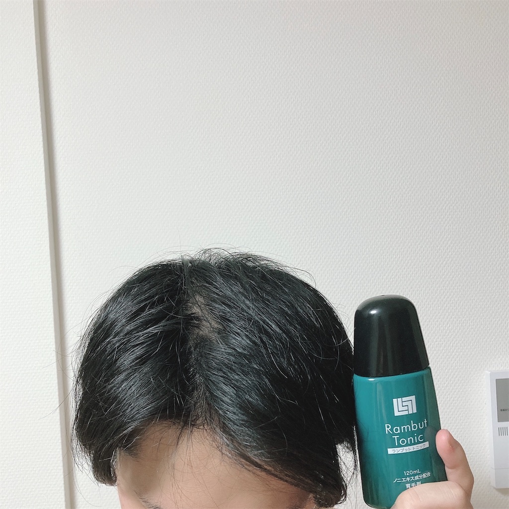 f:id:Coala0322:20210808123600j:image f:id:Coala0322:20210808123600j:image