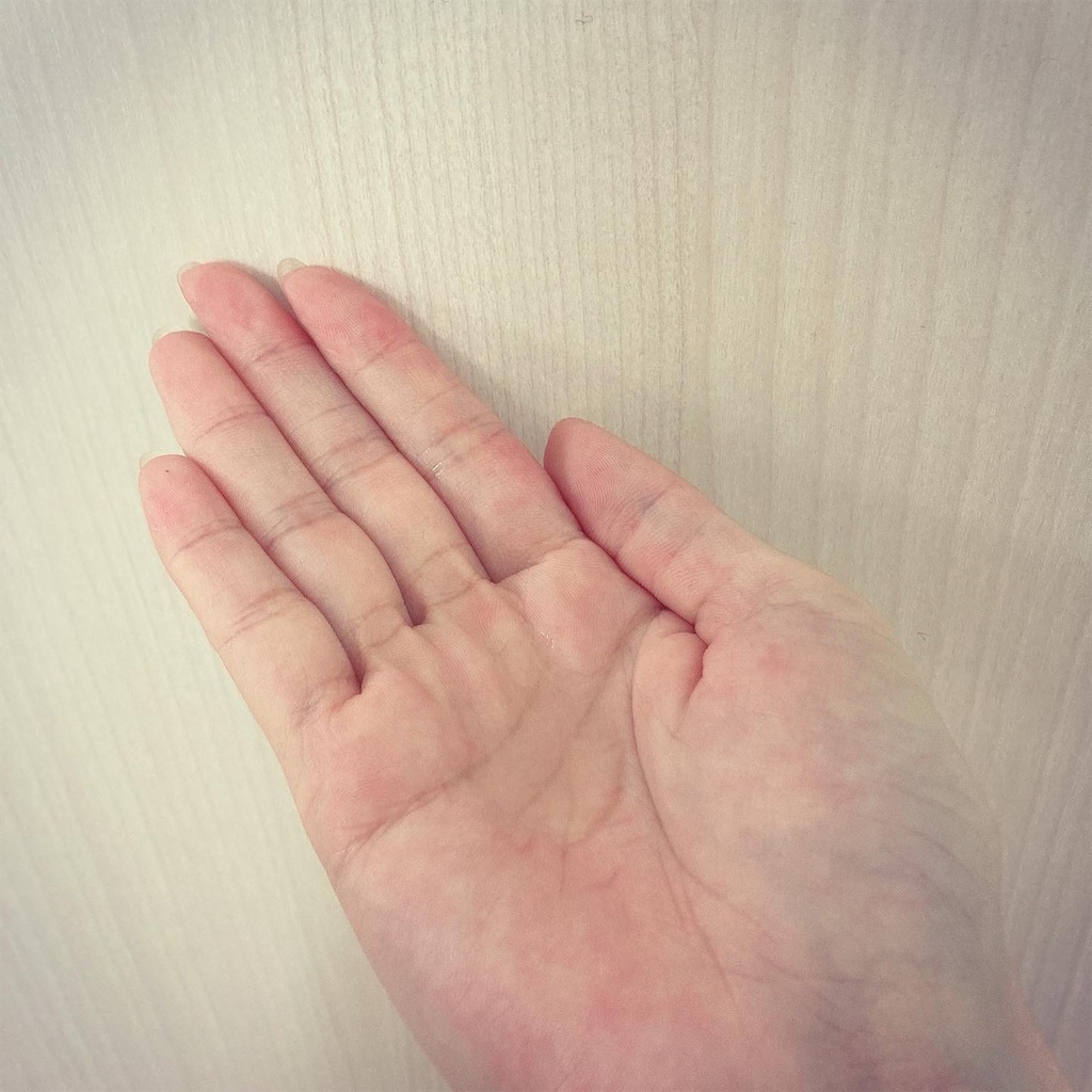 f:id:Coala0322:20210811151609j:image