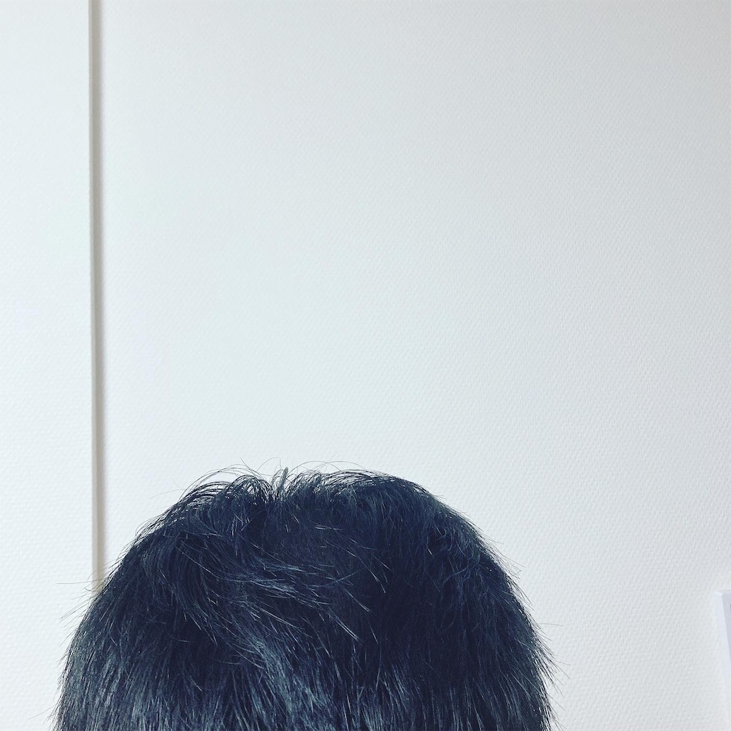 f:id:Coala0322:20210821213602j:image