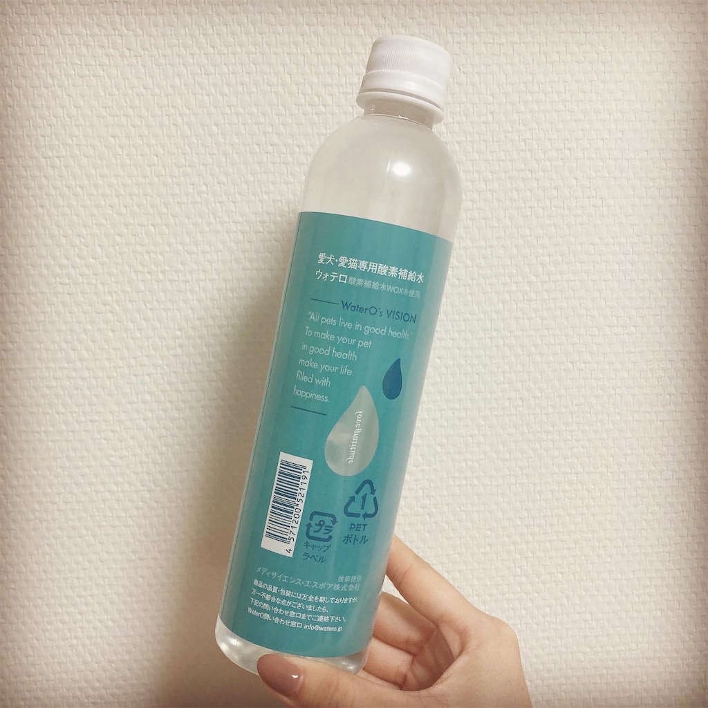 f:id:Coala0322:20211208171933j:image