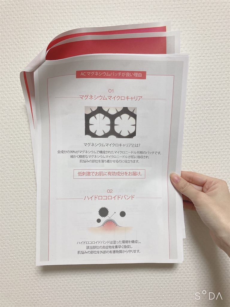 f:id:Coala0322:20220305181618j:image f:id:Coala0322:20220305181618j:image