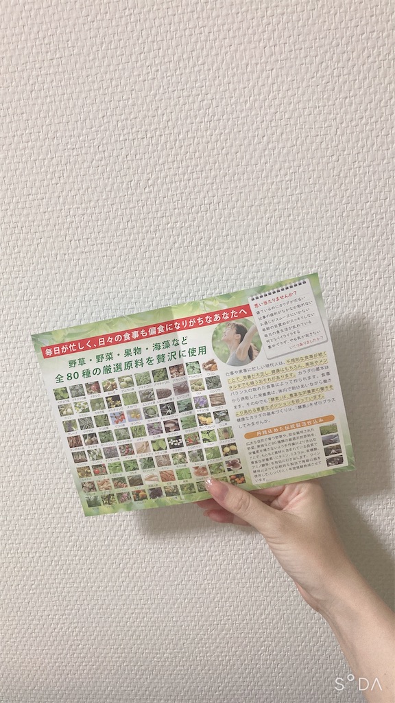 f:id:Coala0322:20220610155539j:image