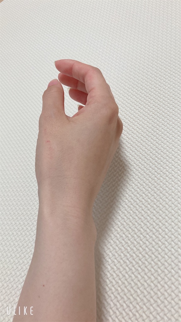 f:id:Coala0322:20230510132117j:image