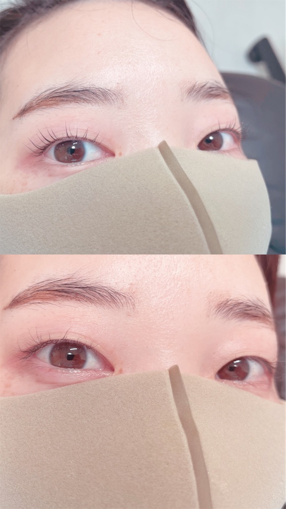 f:id:Coala0322:20230523135311j:image