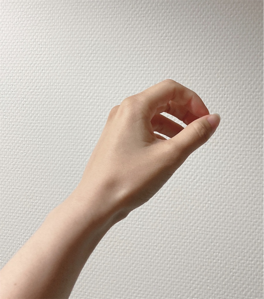 f:id:Coala0322:20230528101833j:image