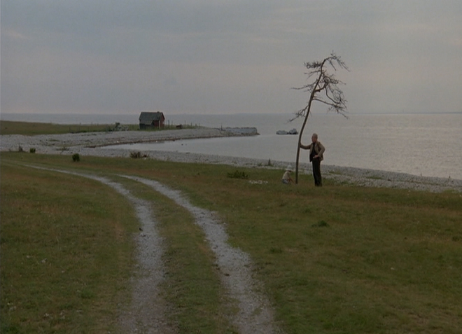 f:id:CobaltBombAO:20190224220420j:plain