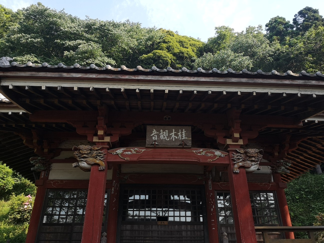 f:id:Coccinella2019:20210610202221j:image
