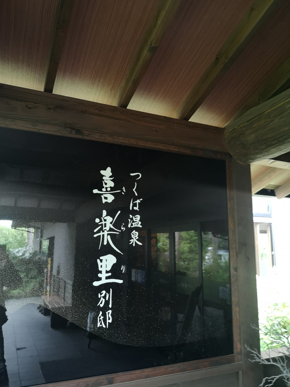 f:id:Coccinella2019:20210623203250j:image