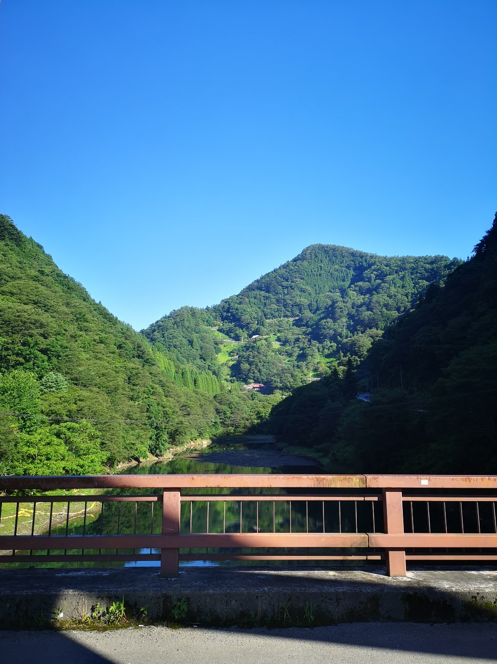 f:id:Coccinella2019:20210719042808j:image