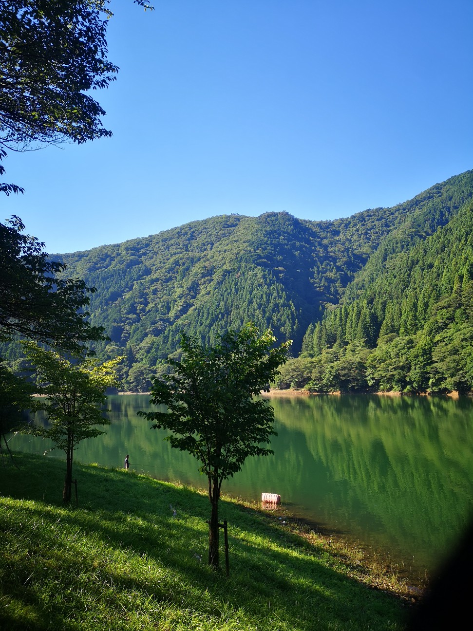 f:id:Coccinella2019:20210719043412j:image