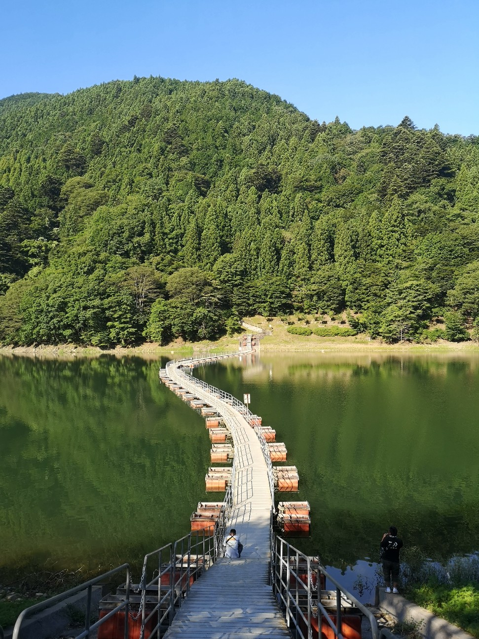 f:id:Coccinella2019:20210719043434j:image