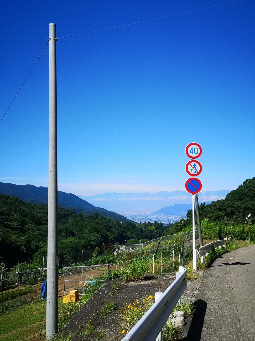 f:id:Coccinella2019:20210719053712j:image