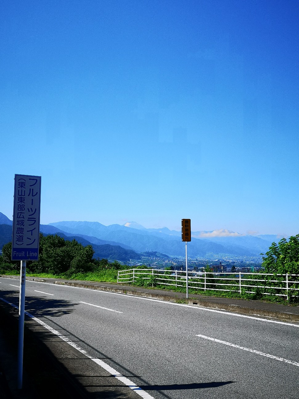 f:id:Coccinella2019:20210719054033j:image