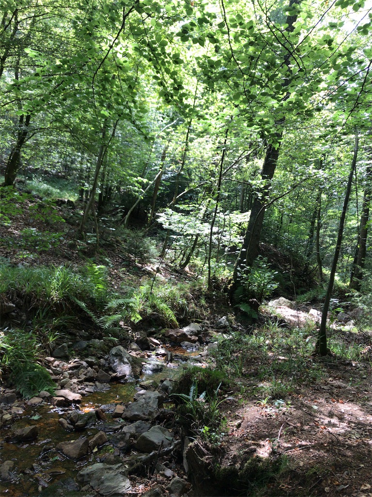 f:id:Cocox:20180906015127j:image