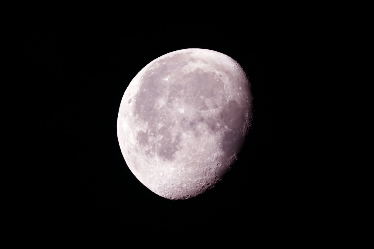 f:id:Codastars:20190219174548j:image