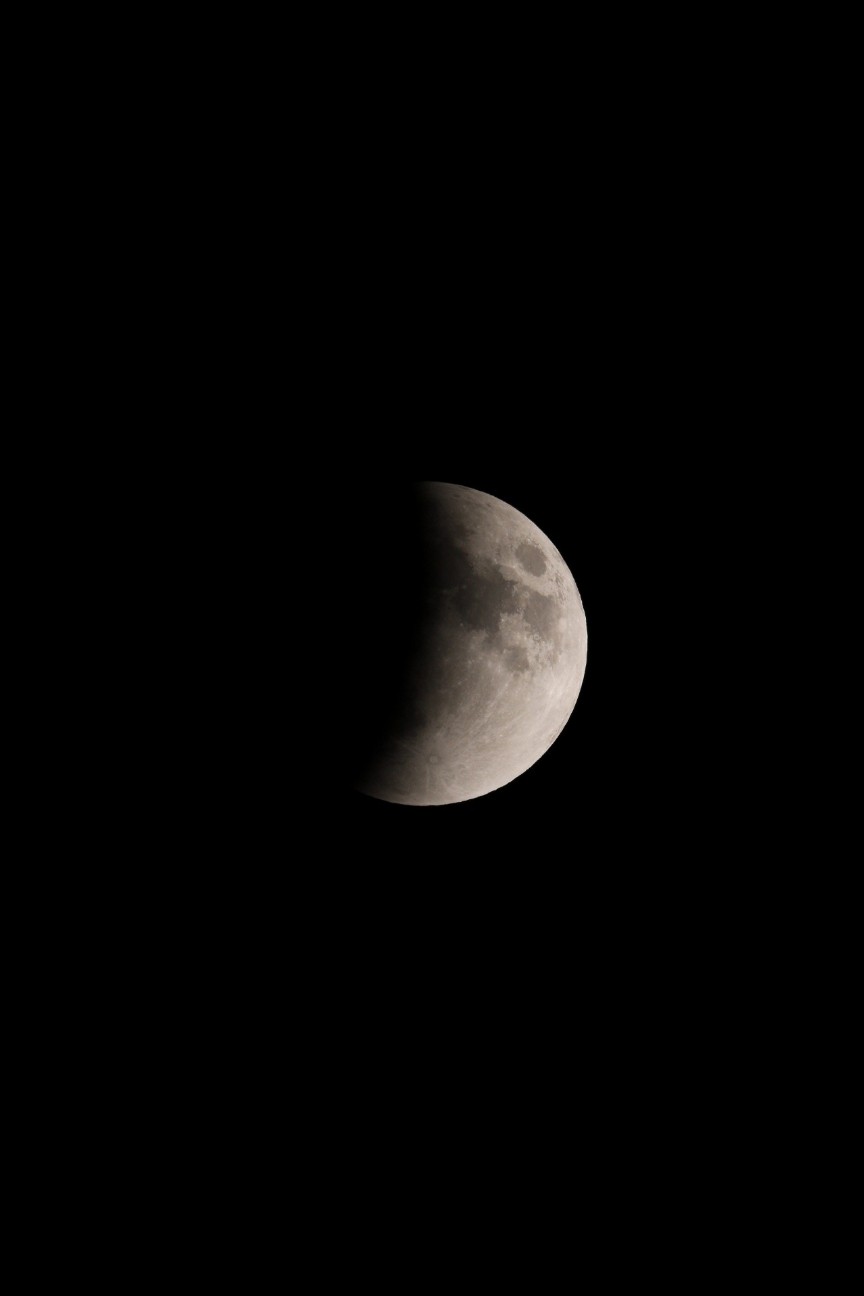 f:id:Codastars:20190219174652j:image