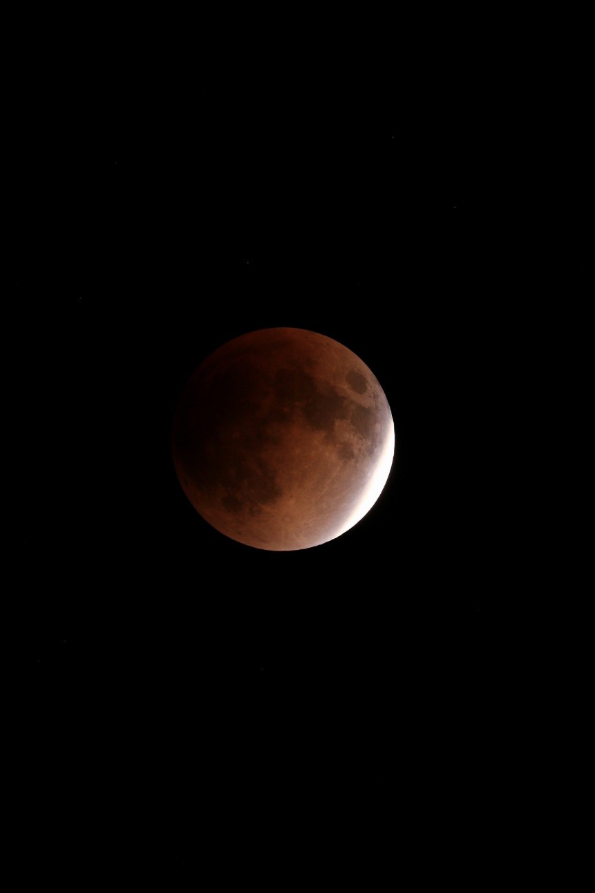 f:id:Codastars:20190219174711j:image