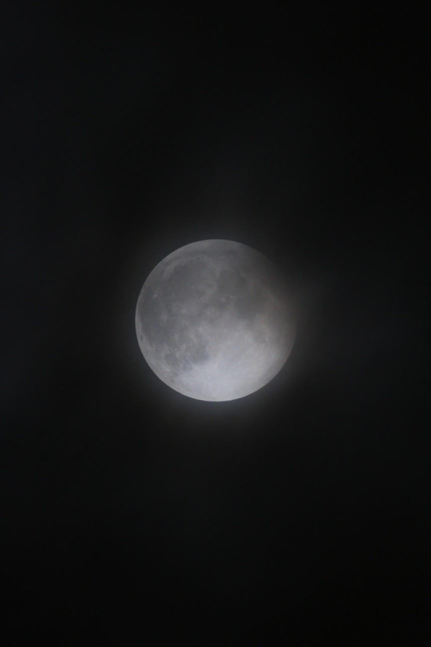 f:id:Codastars:20190219174826j:image