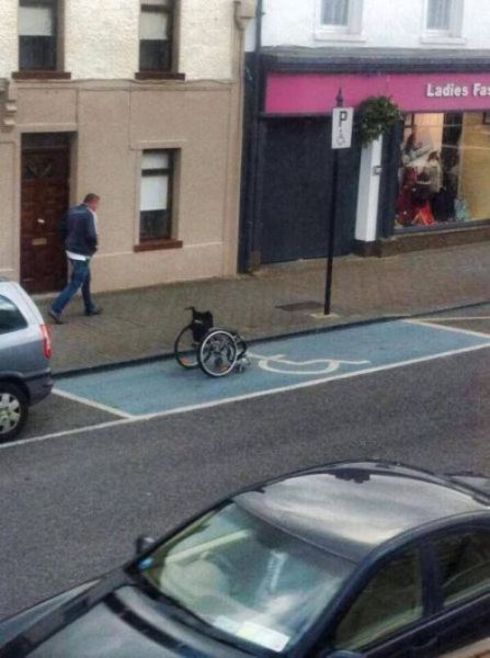 f:id:Cokko:20190704174659j:plain