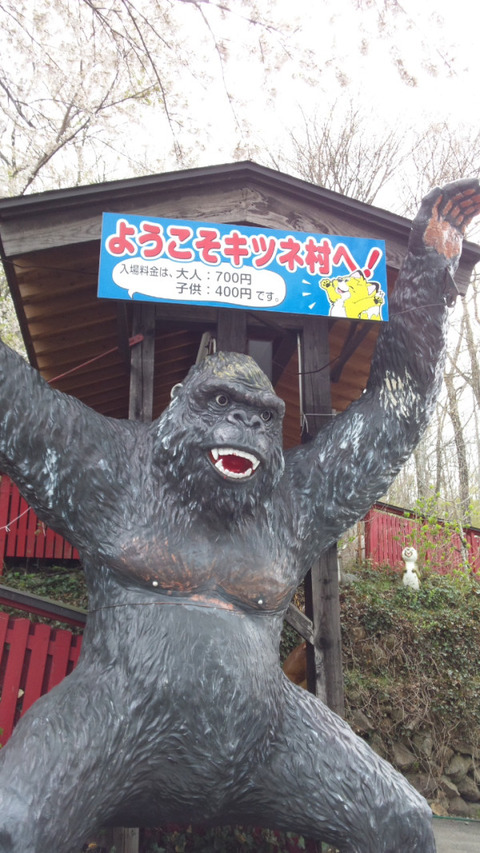 f:id:Cokko:20190710191757j:plain