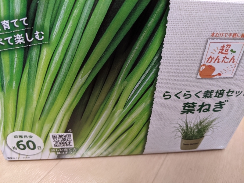 f:id:Colloid:20210404175326j:plain