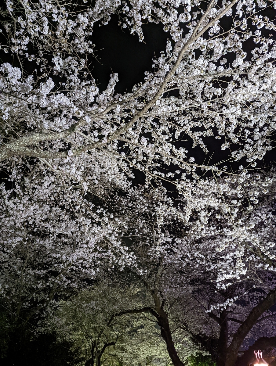 f:id:Colloid:20220404232551j:plain