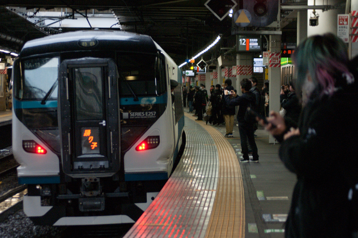 もう一度走ろうか… ? ～E257系踊り子に乗ってきた話＋α～ ひがなり雑記帳