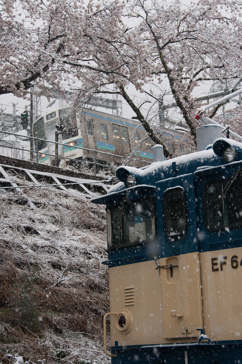 f:id:ComExp2133:20200329145946j:plain f:id:ComExp2133:20200329145946j:plain