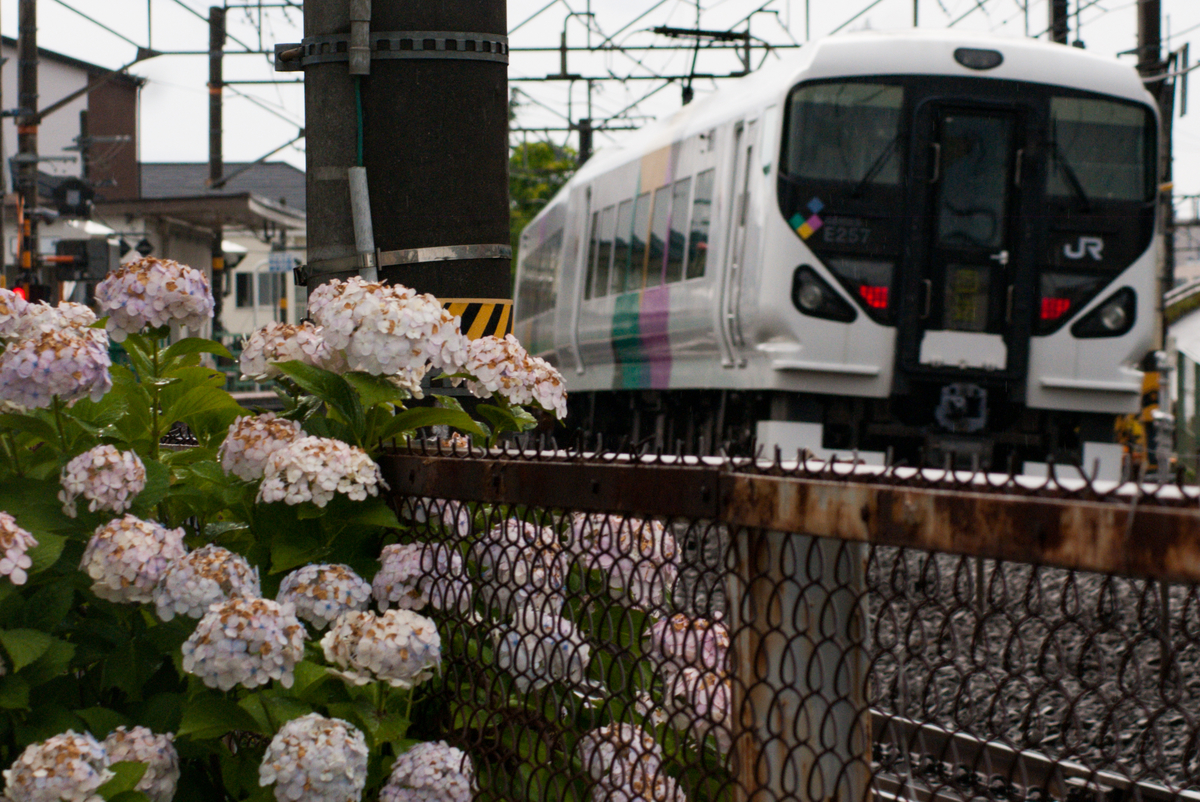 f:id:ComExp2133:20200630200317j:plain